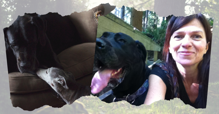 The Impact of a Spay or Neuter: Della’s Story