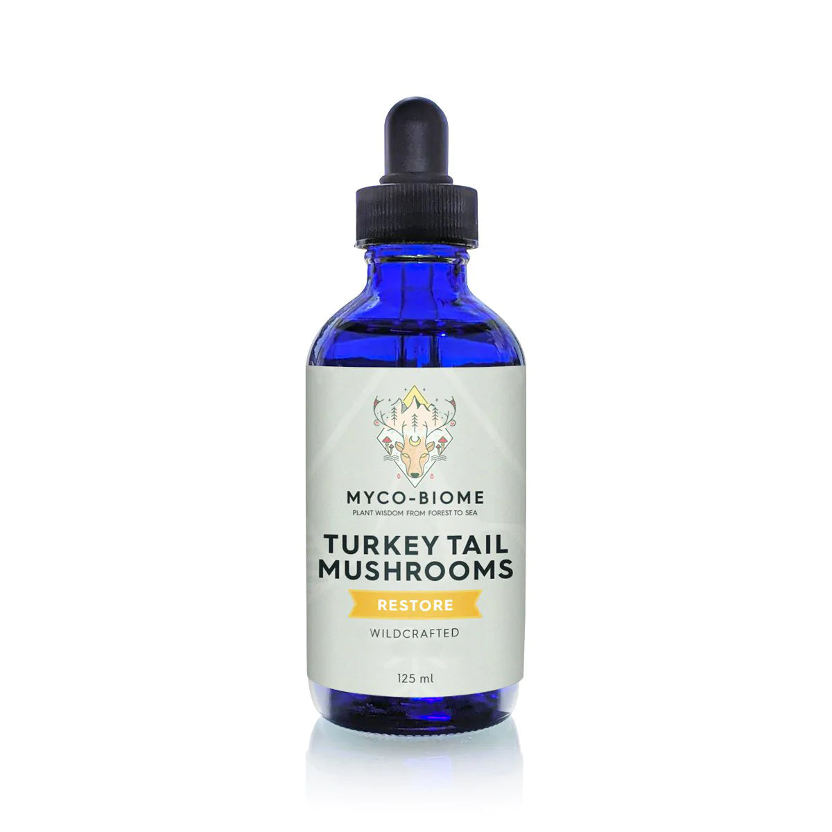 Turkey Tail Mushrooms | Liquid Triple Extract