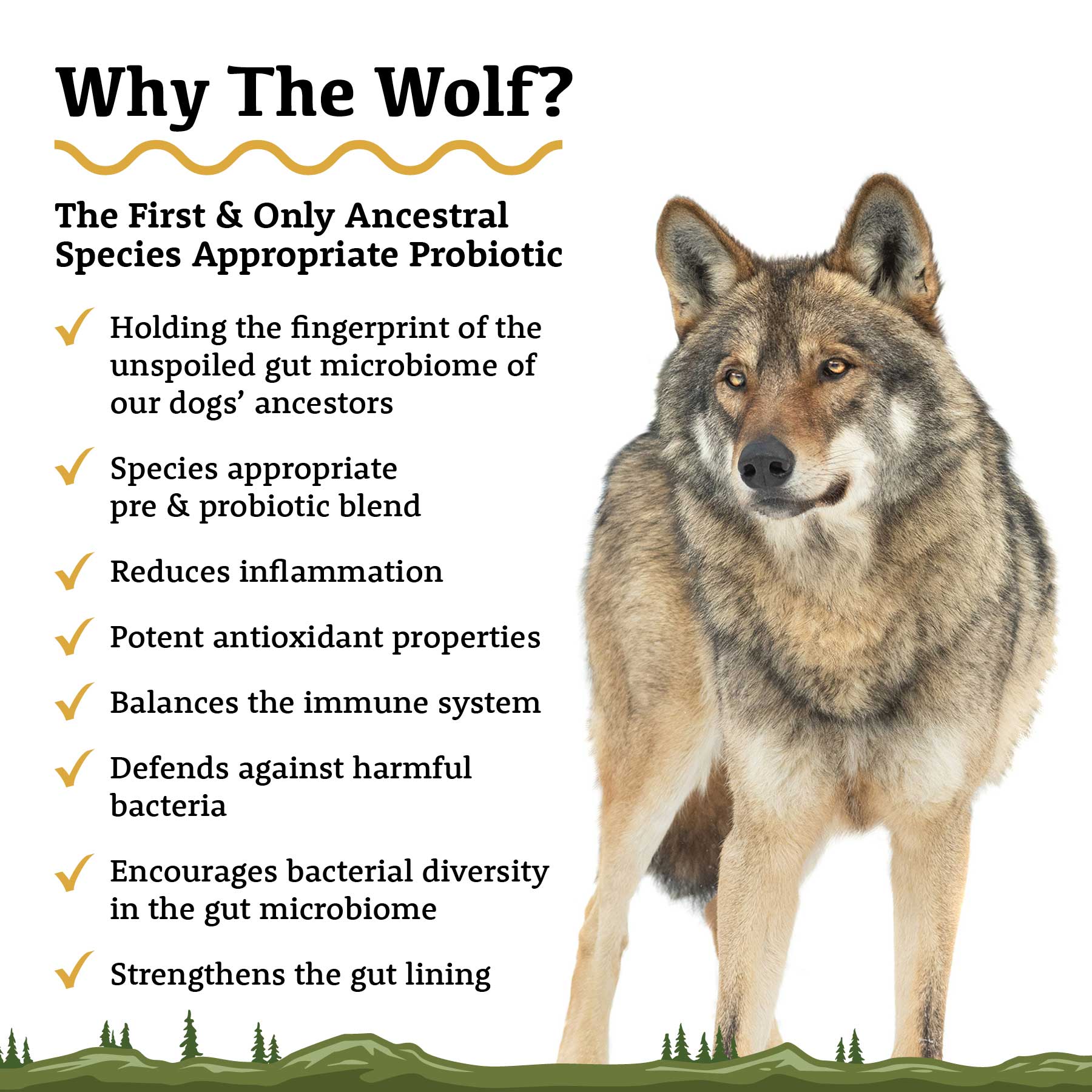 The Wolf | Species Appropriate Probiotic - Adored Beast Apothecary